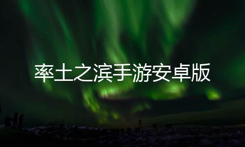 率土之滨手游安卓版