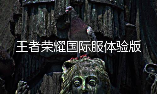 王者荣耀国际服体验版