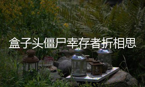 盒子头僵尸幸存者折相思版