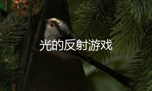 光的反射游戏