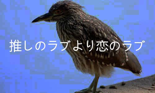推しのラブより恋のラブLOD スマホ版一生推不如一生恋love or die手机版