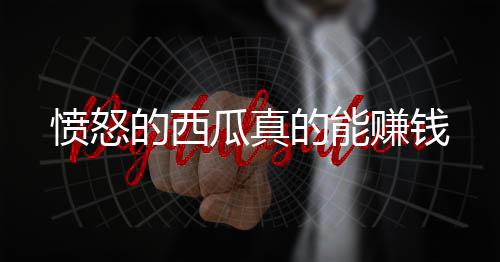 愤怒的西瓜真的能赚钱
