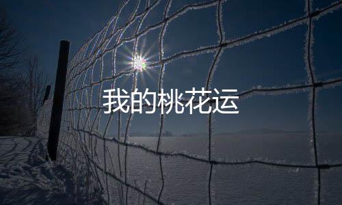 我的桃花运