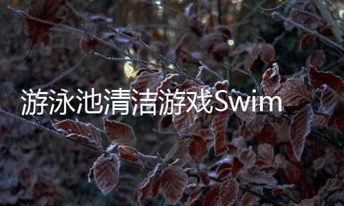 游泳池清洁游戏Swimming Pool Cleaning Games