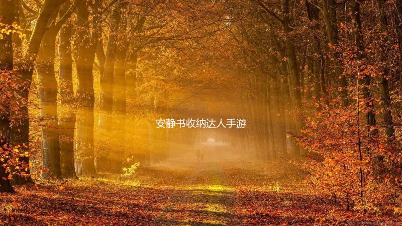 安静书收纳达人手游