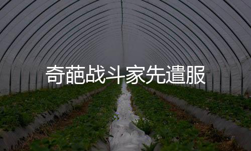 奇葩战斗家先遣服