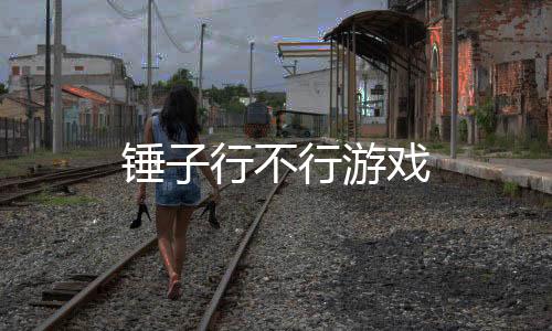 锤子行不行游戏