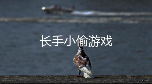 长手小偷游戏