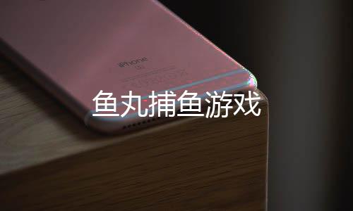鱼丸捕鱼游戏