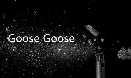 Goose Goose Duck鹅鹅鸭