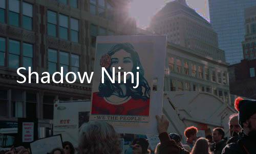 Shadow Ninja忍者修炼模拟器