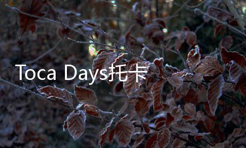 Toca Days托卡生活世界3D版